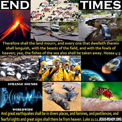 Bible Prophecy End Time Signs, The End Times Bible Signs, End Times Quotes, End Of Times Bible Signs Scriptures, End Times Prophecy Signs The Bible, Rapture Signs End Time, Revelations Bible End Time, Signs Of End Times, Bible End Times