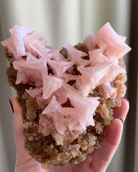 pink halite Crystal Collection Display, Pink Halite, Minerals Crystals Stones, Minerals Crystals Rocks, Rare Stone, Crystal Geode, Power Crystals, Minerals And Gemstones, Rocks And Gems