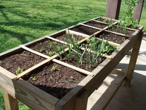 So if you are thinking of having a beautiful garden, then you must think of garden bed and planter ideas. You can easily construct a raised beds garden in your lawn. It will not only look beautiful but also improve your overall landscaping. So if you are convinced and wanted to have one for your garden, then you should follow the below mentioned steps. Woods Survival, Gardening Fruits, Salad Table, Gardening Table, Small Patio Decor, Raised Garden Bed Plans, Balkon Decor, Vegetable Garden Raised Beds, Grow Vegetables