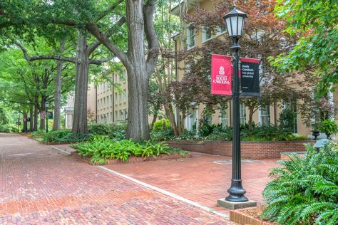 University Of South Carolina Campus, University South Carolina, University Of South Carolina Aesthetic, College Vision Board, 10 Year Plan, College List, Honor Society, College Board, School Banner