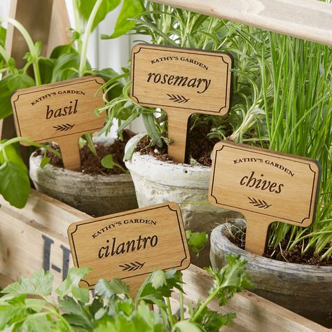 Edamame Dip, Personalized Flower Pot, Herb Garden Markers, Vegetable Garden Planner, Vegetable Garden Raised Beds, Types Of Herbs, Garden Planner, Marker Set, Set Bed