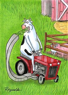 Cow Mowing Lawn by A Better Tripp, via Flickr Spanish Jokes, Funny Cartoon Pictures, Cows Funny, Spanish Humor, A Cow, Clipuri Video, Chuck Norris, Cartoon Pics, Funny Cartoon