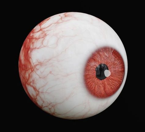 Eye Widget, Eyeball Aesthetic, Eyeball Diagram, Human Eyeball, Eye Icon, Crewel Embroidery Tutorial, Red Pfp, Funny Gaming Memes, 3d Eye