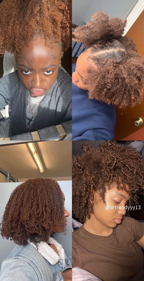 Afro Hair Dye, Afro Hair Color, Adore Hair Dye, Cinnamon Hair Colors, Diy Hair Wig, Cabello Afro Natural, Cinnamon Hair, Dyed Curly Hair, Honey Brown Hair