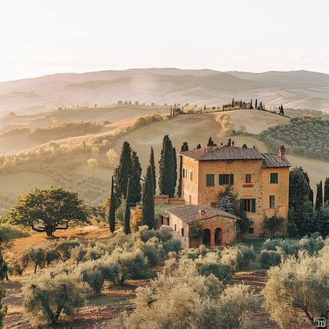 Tuscan Villa Sunset: A warm sunset bathes the Tuscan villa amidst rolling hills and verdant olive groves in Italy. #tuscany #sunset #villa #rolling hills #olive trees #aiart #aiphoto #stockcake ⬇️ Download and 📝 Prompt 👉 https://stockcake.com/i/tuscan-villa-sunset_374822_571319 Tuscany Countryside Aesthetic, Tuscany Villa Aesthetic, Villa Tuscany, Villas In Tuscany Italy, Tuscany Villages, Tuscan Hills, Book City, Tuscany Villa, Village Photos