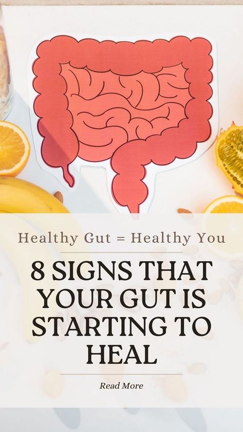 Discover the 8 signs that show your gut is healing! Feel better and live healthier with these positive indicators. 🌿💚 #GutHealth #WellnessJourney Heal The Gut Naturally, Gut Healthy Diet, Hormonal Eating, Healing Gut Health, How To Heal Your Gut, Heal Gut Naturally, Gut Healing Diet, Healing Gut, Gut Healing Foods