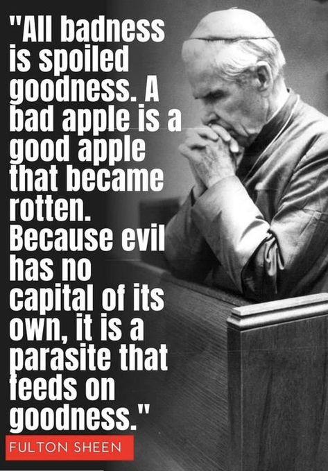 Venerable Fulton J. Sheen Rotten Apple Quote, Apple Quotes, Catholic Doctrine, Fulton Sheen, Discipline Quotes, Saint Quotes Catholic, Funny Feelings Quotes, Bad Apple, Christian Images