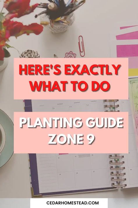 Zone 9 Planting Schedule Vegetables, Zone 9 Planting Schedule Flowers, Zone 9a Planting Schedule, Vegetable Growing Chart, Seed Planting Calendar, Zone 9 Gardening, Herb Planting, When To Plant Seeds, Homestead Tips