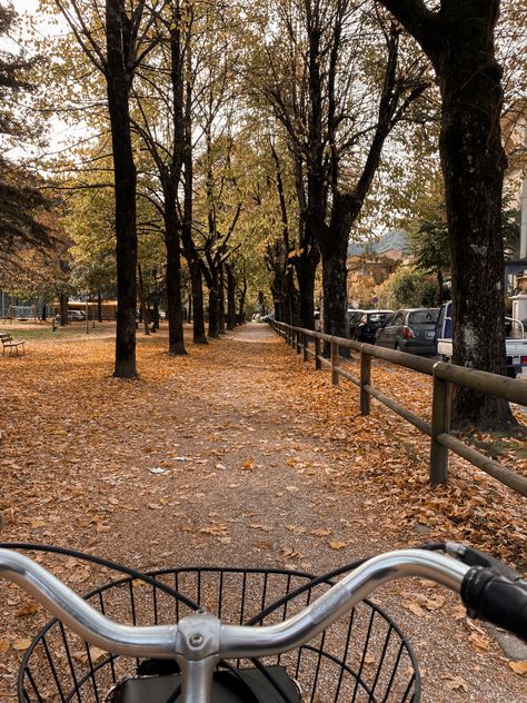 Autumn Bike Aesthetic, Autumn Bike Ride Aesthetic, October Vision Board Ideas, Autumn Bike Ride, Fall Bike Ride Aesthetic, Fall Aesthetic Activities, Bright Fall Aesthetic, Fall Skateboarding, October Vision Board