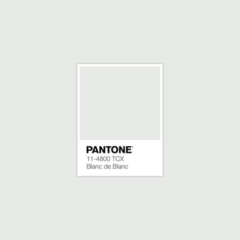 Download Free Adobe Illustrator Palette in .ase • #pantone #whitecolor #whiteswatch #whitetone #color #colorcombos #fallcolors #palettes #colorschemes #pantone202colortrends #pantone2020 #colorswatches #colortrends #2020fashiontrends #pantoneaesthetic • Wild Dove, Spruce Yellow, Pantone Palette, Pantone Color, Pantone, Lemon Pepper, Dove, Color Trend, Color Scheme, Color Palette, Blanc de Blanc Pantone Swatches, Pantone Palette, Pantone Colour Palettes, Winter Color Palette, Palette Design, Fall Color Palette, Color Swatch, Neutral Colour Palette, Winter Colors