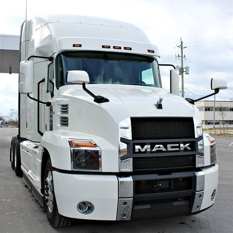 Women Truck Driver, Trucks For Sell, Western Star, Trucking Business, White Truck, Diesel Cars, Trucking Companies, Truck Interior, Mack Trucks