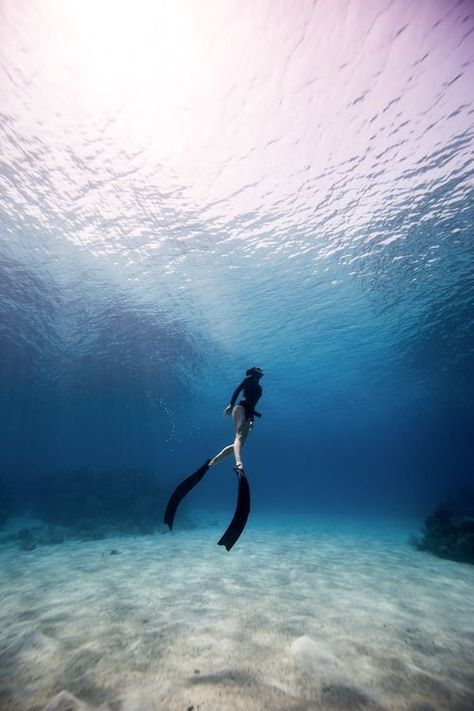 Freediving mermaid #freediving #mermaid #ocean 가족 일러스트, Diver Art, Sea Diving, Behind Blue Eyes, Fishing Photography, Cave Diving, Scuba Gear, Free Diving, Underwater Photos