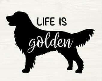 Golden Retriever Silhouette, Cricut Tshirt, Svg Patterns, Life Is Golden, Golden Retriever Owner, Clipart Birthday, Fun Graphics, Craft Easy, Cat Svg