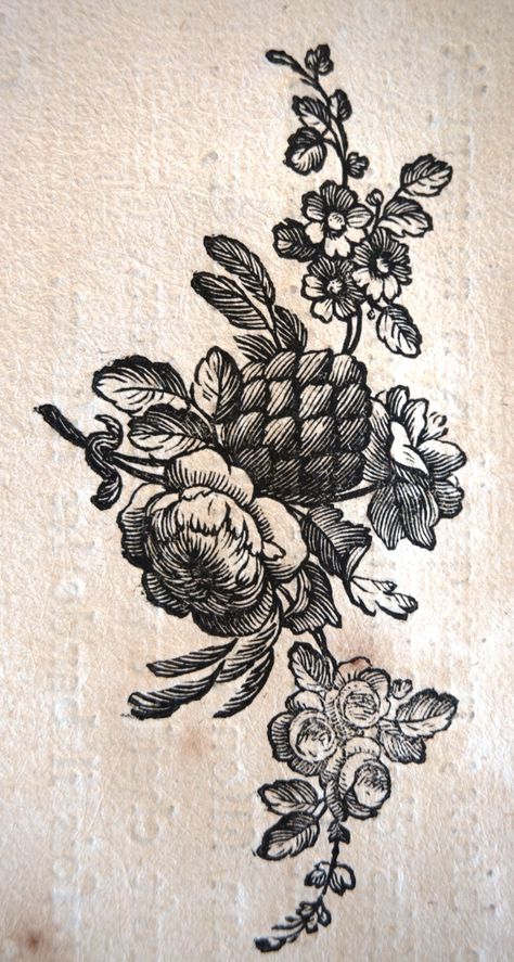 Botanical Illustration Vintage Black And White, Antique Illustration Tattoo, Hand Of Mysteries Tattoo, Floral Engraving Pattern, Victorian Floral Tattoo, Etching Tattoo Style, Engraving Flower Tattoo, Victorian Flowers Illustration, Engraving Tattoo Sleeve