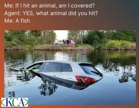 Just a little Tuesday Insurance Humor #jokes #insurance #humor Auto Insurance Humor, Insurance Meme, Insurance Humor, Work Quotes Funny, Work Skills, Content Planning, Insurance Agent, Sign Ideas, Auto Insurance