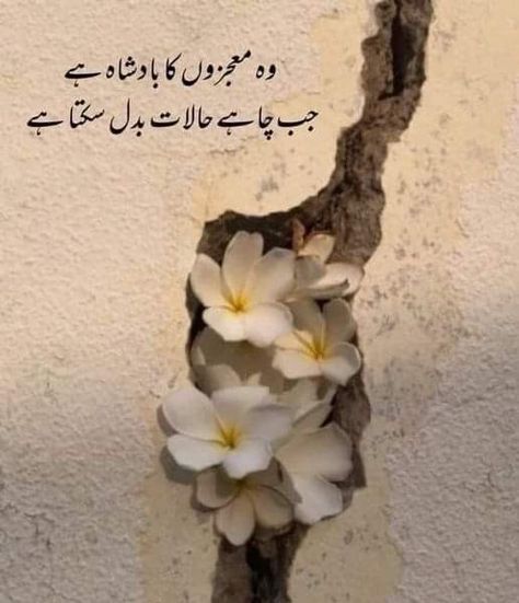 11 11 Aesthetic Quotes, Good Heart Quotes, Urdu Islamic Quotes, Islam Beauty, Best Quotes Images, Urdu Quotes Images, Strong Motivational Quotes, Impress Quotes, Image Poetry