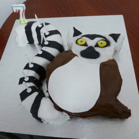 Lemur Cake Ideas, Lemur Birthday Cake, Lemur Birthday Party, Zoboomafoo Birthday Party, Zaboomafoo Birthday, Lemur Cake, 3rd Birthday Cakes For Boys, Animal Party Food, Madagascar Party