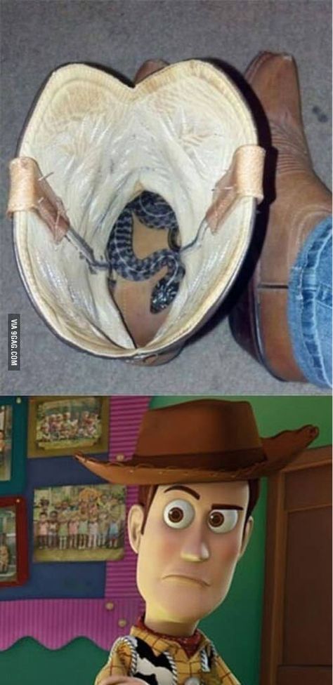 "There's a snake in my boot" what my friends say when I were a cowboy hat to school True Meme, Doug Funnie, Evil Smile, Mockingjay, Have A Laugh, A Snake, Laughter Is The Best Medicine, Disney And Dreamworks, Disney Love