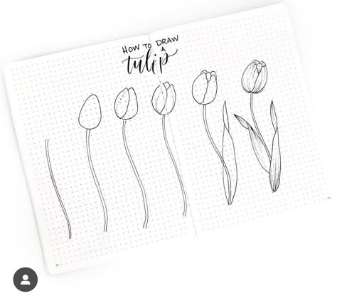 Easy Flower Doodles, Hur Man Ritar Blommor, Tulip Drawing, Easy Flower Drawings, Bujo Doodles, Arte Doodle, Bullet Journal Spreads, Flower Drawing Tutorials, Floral Doodle