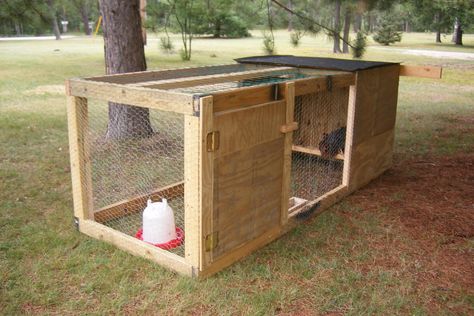 post pics of grow out pens | Page 2 | BackYard Chickens - Learn How to Raise Chickens Chicken Grow Out Pen, Chicken Breeding, Goat Barn, Chicken Pen, Chicken Tractors, Raising Rabbits, Backyard Poultry, Homestead Gardens, Dairy Goats