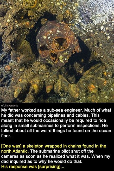 Ocean Enthusiasts Describe The Strange And Creepy Things They've Seen At Sea Spooky Facts, Scary Ocean, Best Ghost Stories, Scary Facts, True Interesting Facts, Creepy Things, Sea Life Art, Creepy Facts, Interesting Facts About World