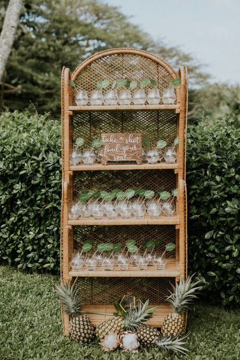 Alcohol Seating Chart Wedding, Shots Seating Chart, Mexico Seating Chart, Wedding Seating Chart Tropical, Take A Shot Take A Seat, Shot Seating Chart Wedding, Rattan Seating Chart, Tropical Wedding Seating Chart, Tropical Seating Chart