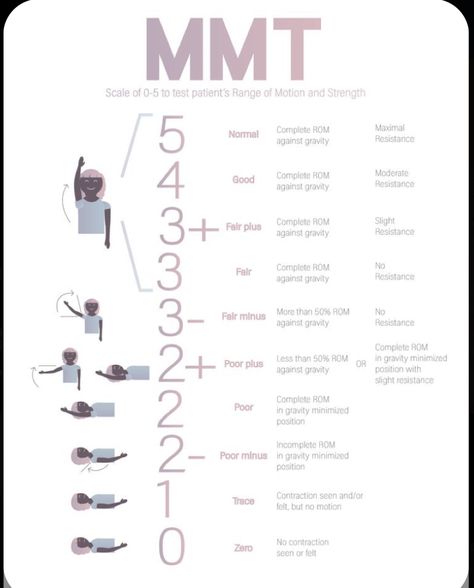 Physical Therapy Assistant Student, Muscle Chart, Limb Anatomy, Activities Adults, Nbcot Exam, Physiotherapy Student, Occupational Therapy Schools, Geriatric Occupational Therapy, Physical Therapy School