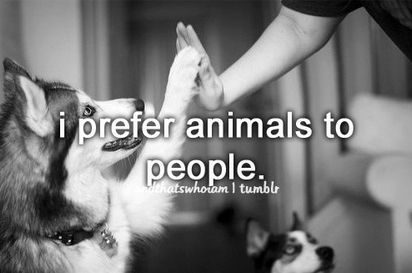 I prefer animals to people Animal Quotes, Dog Quotes, I Love Dogs, Beautiful Creatures, The Words, Dog Love, True Stories, Puppy Love, A Dog