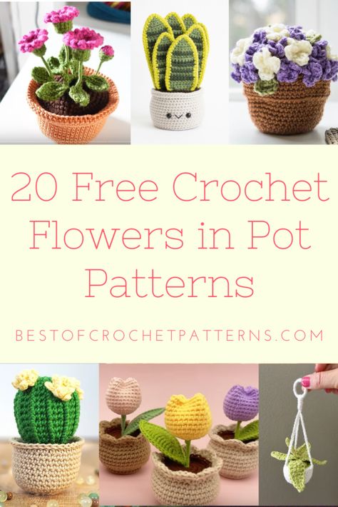 From the heart of spring to your home, explore 20 free crochet patterns for flowers in pots that are as delightful to make as they are to display. Click to learn more! Crochet Small Succulent Pattern Free, Potted Flower Crochet Pattern, Flower In Pot Crochet, Crochet Potted Flowers, Crochet Vase Pattern Free, Crochet Garden Ideas, Flower Pot Crochet Pattern, Crochet Succulents Free Pattern, Crochet Plants Free Pattern