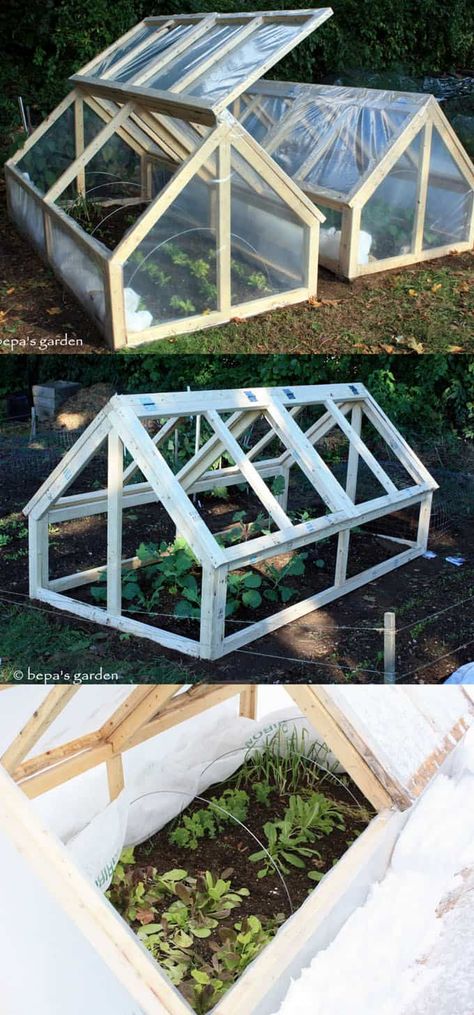 Diy Small Greenhouse, Diy Greenhouses, Cold Frame Diy, Greenhouse Design, Diy Greenhouse Plans, Best Greenhouse, Build A Greenhouse, Indoor Greenhouse, Home Greenhouse