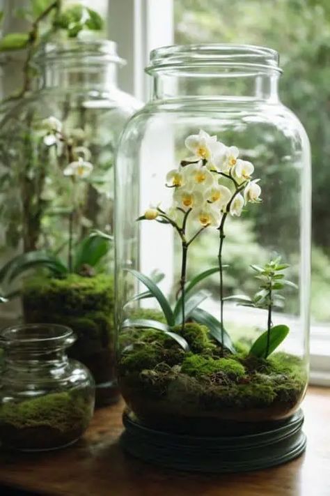 3.1-indoor-garden-ideas-orchids-in-glass-jar-1 Kitchen Plants Decor, Bedroom Spring, Hanging Glass Planters, Bottle Plant, Orchid Terrarium, Build A Terrarium, Baddie Apartment, Baddie Apartment Ideas, Plant In Glass