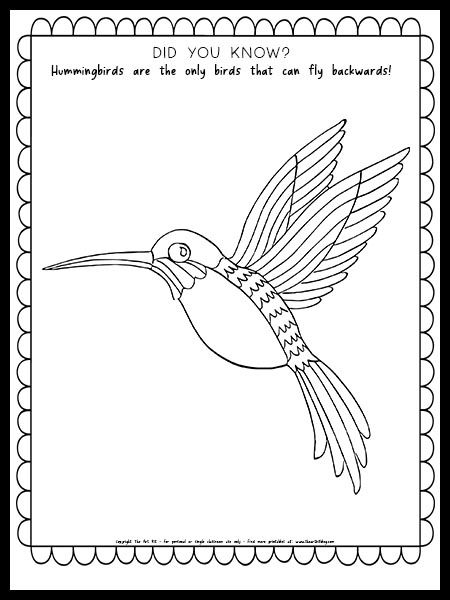 Hummingbird Printable Free, Hummingbird Coloring Pages, Worksheets For Prek, Coloring Pages For Men, Preschool Birds, Bird Crafts Preschool, Bird Coloring Page, Bird Day, Bird Coloring