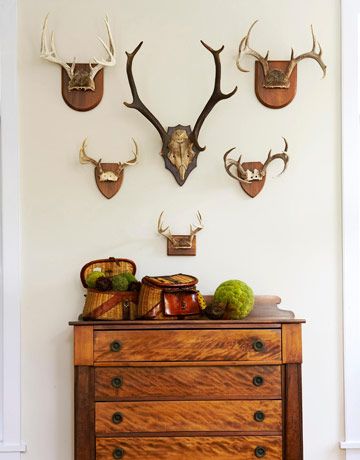 Antlers, fishing creels & antique chest - in the Adirondacks - interior designer Ann Stillman O'Leary's mountain home - rustic, yet sophisticated Decorating With Antlers, Antler Display, Mounted Antlers, Deer Heads, Antler Wall, Trophy Rooms, Deer Decor, Metal Tree Wall Art, Antique Chest