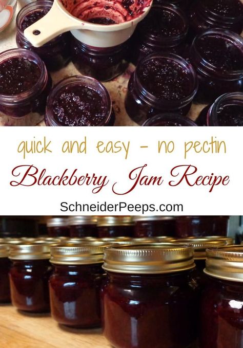 You'll never buy blackberry jam again after trying this quick and easy no pectin, blackberry jam recipe. Make a large batch for canning or freezing or a small batch for eating now. Dewberry Jam Recipe, Easy Blackberry Jam, Blackberry Jam Recipe, Fruit Butters, Blackberry Jam Recipes, Canning Jam Recipes, Preserving Recipes, Freezer Jam Recipes, Food Preserving