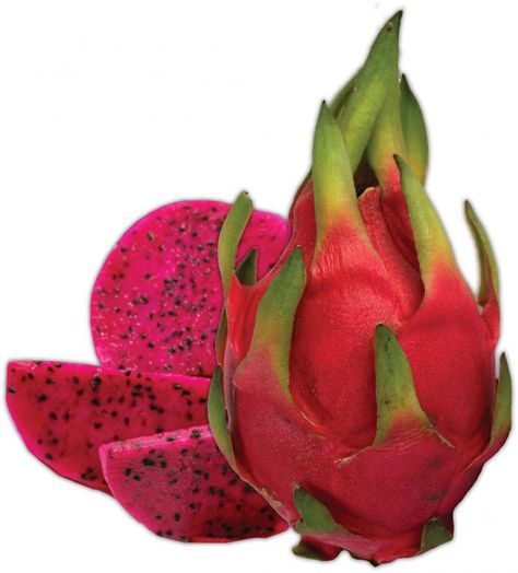 Dragon fruit Dragon Fruit Varieties, Como Plantar Pitaya, Dragon Fruit Cactus, B2 Vitamin, Png Collage, Pitaya Fruit, Dragon Fruit Pitaya, Buah Naga, White Bg