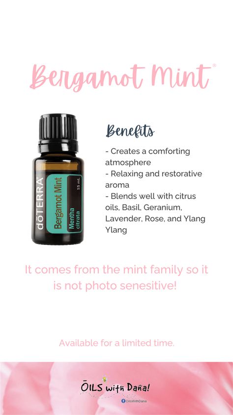 Here is what I learned about Bergamot Mint: similar to calming effects of Lavender. Good for unwinding put in warm bath. Cleansing the air, surface cleaner. LIMITED TME OFFER....only in Convention Kit!! Bergamot Mint Diffuser Blend, Doterra Bergamot Mint, Bergamot Benefits, Doterra Essential Oils Recipes, Essential Oil Remedy, Doterra Business, Oil Remedies, Essential Oils Recipes, Essential Oil Diffuser Blends