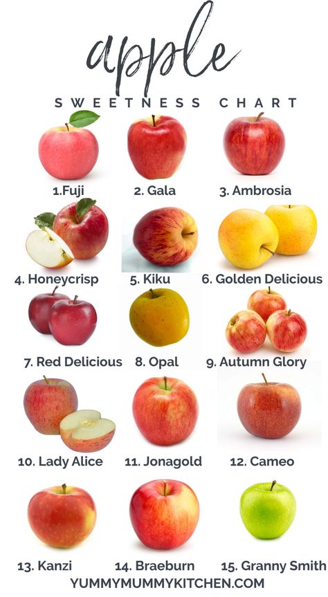 Apple Sweetness Chart - Top Types of Apples and How to Use Apple Chart, Types Of Apples, Fresh Fruit Smoothies, Red Delicious Apples, Apple Types, Apple Varieties, Homemade Applesauce, Types Of Fruit, Fruit Dishes