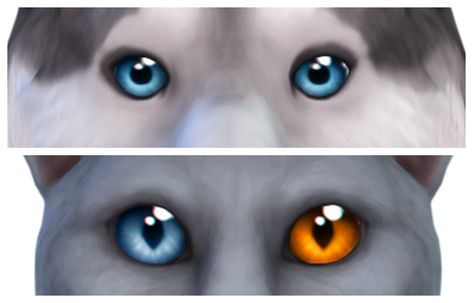 Probably Sleepy — Hey look a complete set of eyes by simandy oh how... Sims Pets, Mermaid Cat, Sleepy Eyes, Dog Eyes, Toddler Hair, Happy Colors, Maxis Match, Cuteness Overload, Olaf The Snowman