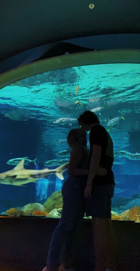 Zoo Date Couple, Cute Aquarium Pictures, Couple Aquarium Pictures, Date Aquarium, Aquarium Couple Photos, Aquarium Aesthetic Couple, Aquarium Instagram Pictures, Aquarium Date Aesthetic, Aquarium Date Outfit