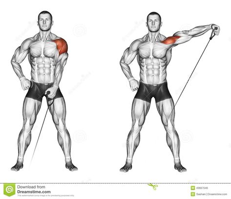 Exercising. Lifting His Hands To The Side With The Stock Illustration - Illustration of exercising, part: 43667046 Cable Lateral Raise, Side Raises, Shoulder Workout Routine, Arm Training, Shoulder Training, Cable Workout, Cable Machine, Lateral Raises, Muscle Building Workouts