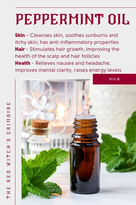 Peppermint Essential Oil - Benefits and uses for skin, hair, and health - Peppermint essential oil is extracted from the leaves of the peppermint plant. It is known for its strong, minty scent. | Skin - Cleanses skin, soothes sunburns, itchy skin, has anti-inflammatory properties | Hair - Stimulates hair growth | Health - Relieves nausea, headache, improves mental clarity, raises energy levels | Click to see the best-selling peppermint essential oil (+ reviews and why people love it). Pepermint Plant Benefits, Peppermint Oil For Skin, Benefits Of Peppermint Oil, Uses For Peppermint Essential Oil, Peppermint Oil For Hair Growth, Peppermint Essential Oil Benefits, Peppermint Essential Oil Uses, Peppermint Oil Spray, Benefits Of Peppermint Essential Oil