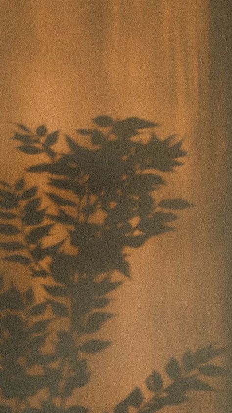 Shadow Images, Background Eraser, Minimal Photography, Instagram Graphics, Mood Images, Shadow Photography, Instagram Background, Beauty Wallpaper, Soft Wallpaper