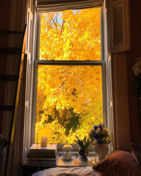 Katie Rodgers, Shades Of Yellow Color, Aesthetic Yellow, Yellow Tree, Yellow Aesthetic, Tree Leaves, Aesthetic Colors, Flowering Trees, Mellow Yellow