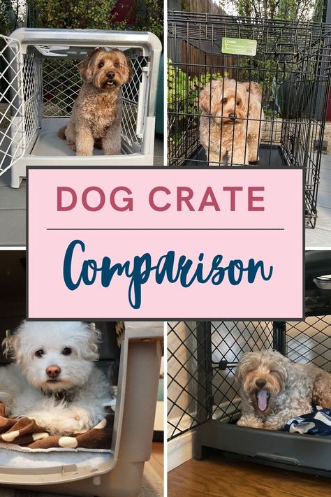 Which dog crate is right for your dog? The crate comparison you're looking for! So you’re ready to crate-train your dog (or puppy)! First off, you’ll need a crate, and that in itself can be a daunting task with prices and sizes varying widely.  Below I’ll go over and compare the benefits and disadvantages to … Travel Dog Crate, Puppy Crate Setup, Funny Talking Dog, Crate Train, Puppy Crate, Easy Pets, Dog Quotes Love, Dog Jokes, Dog Top