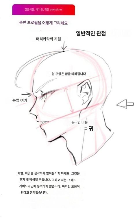 Head Anatomy, Alluka Zoldyck, 얼굴 드로잉, Anatomy Tutorial, 얼굴 그리기, Human Anatomy Art, Digital Art Beginner, Body Reference Drawing, Art Tools Drawing