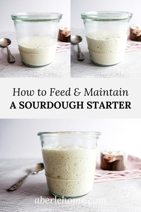 How to Feed and Maintain a Sourdough Starter (Easy Method) - Aberle Home How Much To Feed Sourdough Starter, How Often To Feed Sourdough Starter, Sourdough With Starter, How To Feed Sourdough Starter Easy, Feed Sourdough Starter Ratio, Sourdough Starter Warmer, How To Maintain Sourdough Starter, How To Feed Sourdough Starter, Feed Starter