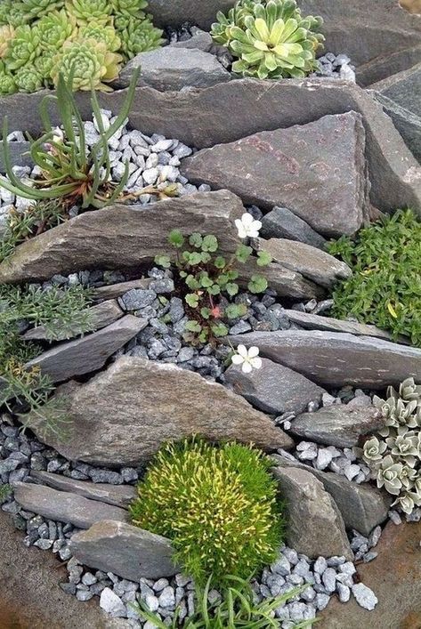 Garden With Succulents, Rockery Garden, Alpine Garden, Rock Garden Design, Gardens Design, Rock Garden Landscaping, Landscaping With Rocks, Small Gardens, Succulents Garden