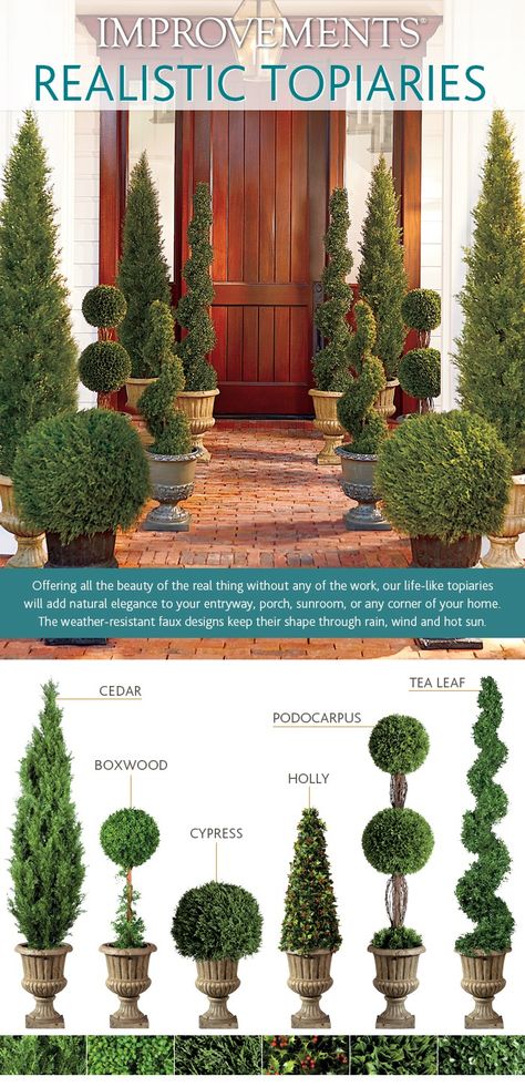 How to Choose a Topiary Infographic Plants In Pots, Topiary Plants, Topiary Garden, Topiary Trees, Have Inspiration, Tea Leaf, Front Garden, Dream Garden, Yard Landscaping