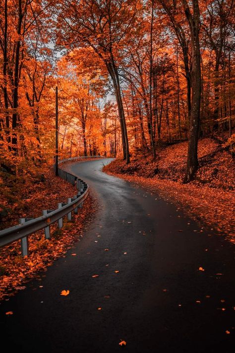 Fall Backgrounds, Only In Your State, Beautiful Roads, Fall Background, Autumn Scenes, Autumn Scenery, Fall Halloween Decor, Aesthetic Photography Nature, Autumn Vibes