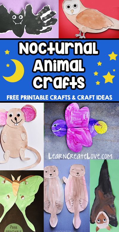 Nocturnal Animals Kindergarten, Nocturnal Animals Activities, Animal Crafts Preschool, Animals Craft, Free Printable Crafts, Library Activities, Fall Preschool, Nocturnal Animals, Animal Activities